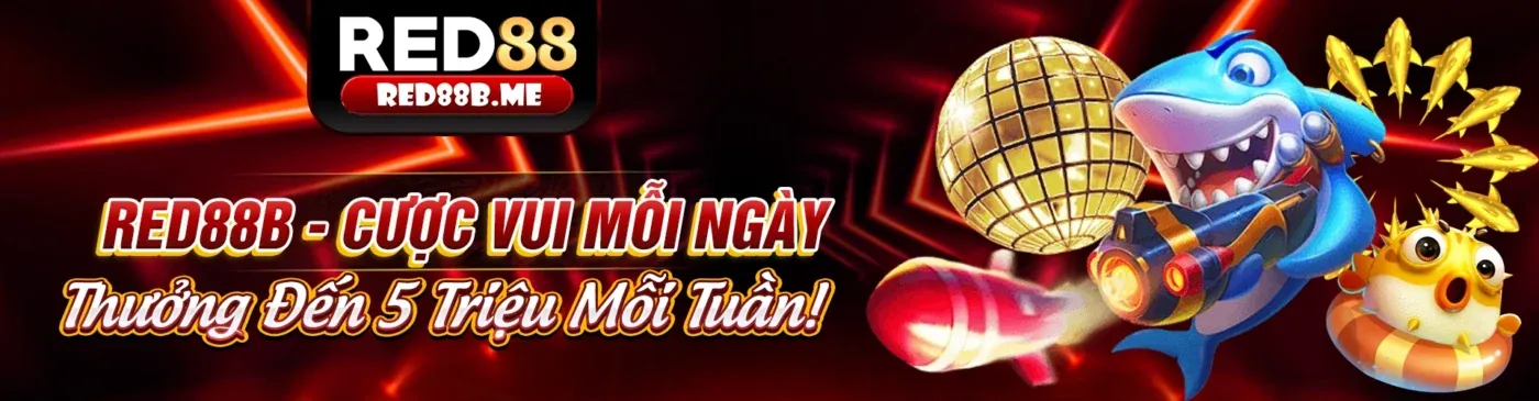Tổng quan giao diện nền tảng ee88